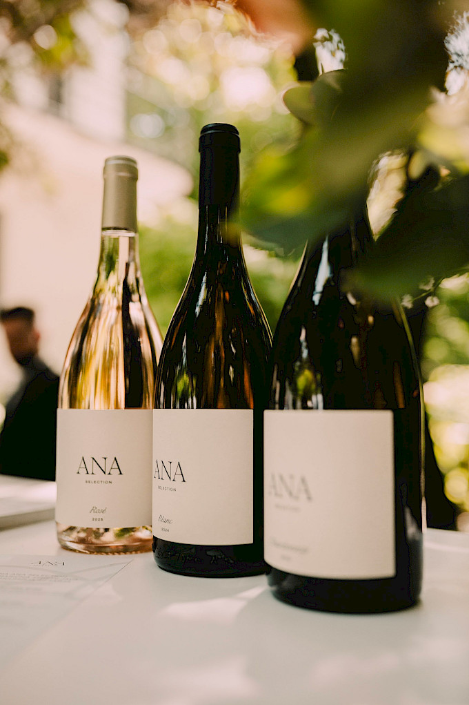 ana_selection_13-1.jpg